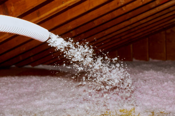 Best Insulation for Commercial Buildings  in Tyrone, GA