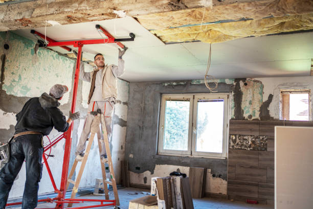 Best Insulation Removal  in Tyrone, GA