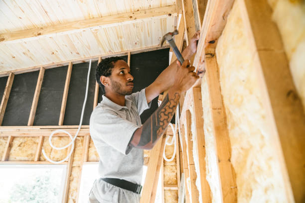 Best Insulation Inspection Services  in Tyrone, GA